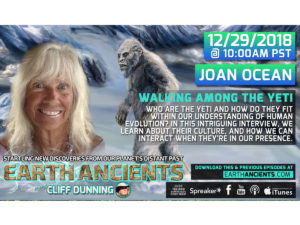 JOAN OCEAN: WALKING AMONG THE YETI