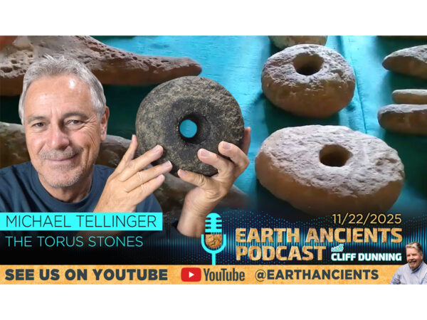 Michael Tellinger: The Torus Stones